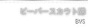 ビーバースカウト隊