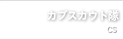 カブスカウト隊